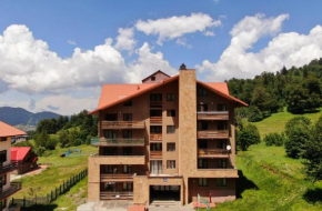 Apartment in Bakuriani near Didveli